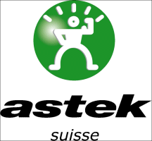 Jobs offers of astek SA
